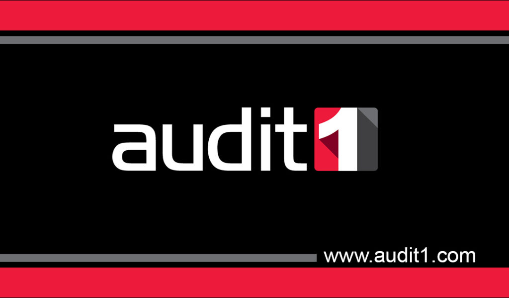 Audit1-Business_Card-back
