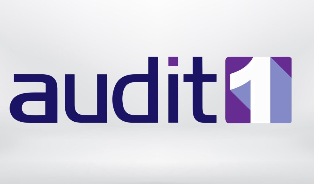 Audit1 logo