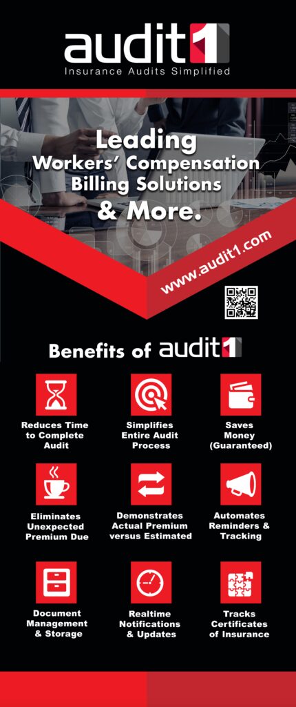 Audit1-Pull up Banner-right