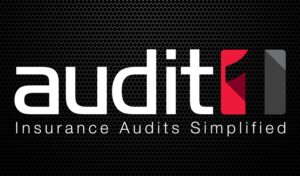 Audit1 Logo