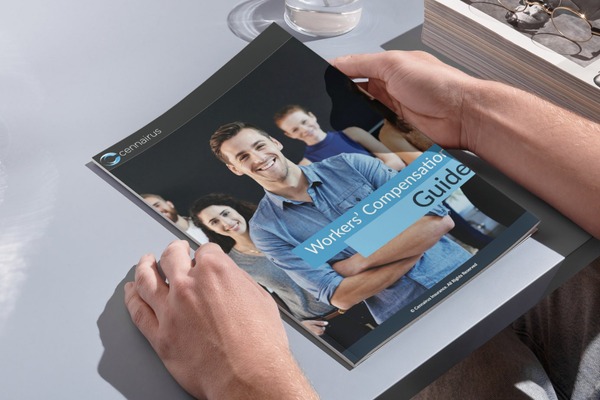 Brochure – Building on the Brand Voice