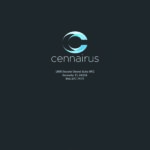 Cennairus-WP-Guide_Page_10