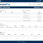 InsurePay-Application Mockup-Dashboard-Landing Page-(set up)